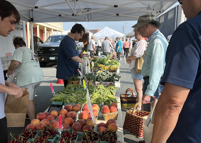 havre-de-grace-farmers-market