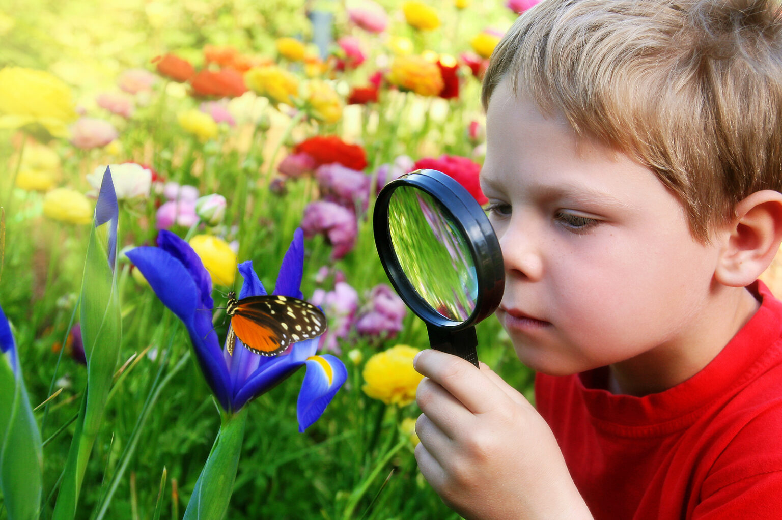 Incredible Insects Class | Havre De Grace MD Events