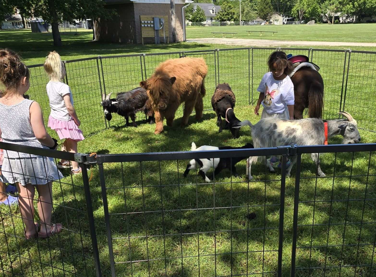 Family Fun Zone: The Little Farm