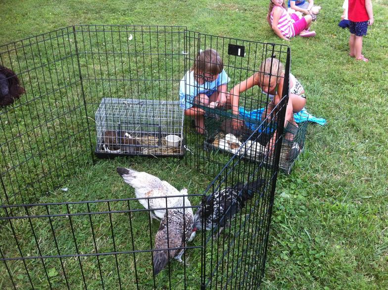 Family Fun Zone: Party Animalz Farm