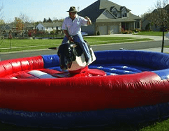 Mechanical Bull Ride