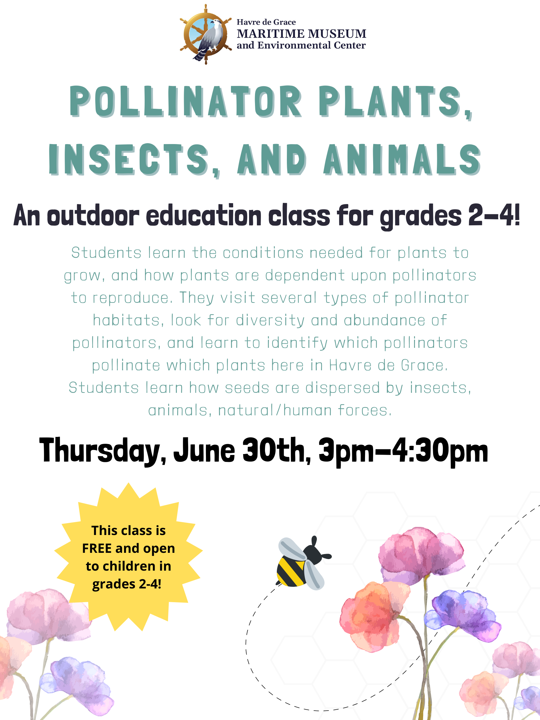 Pollinator Plants, Insects, and Animals | Havre De Grace MD Events