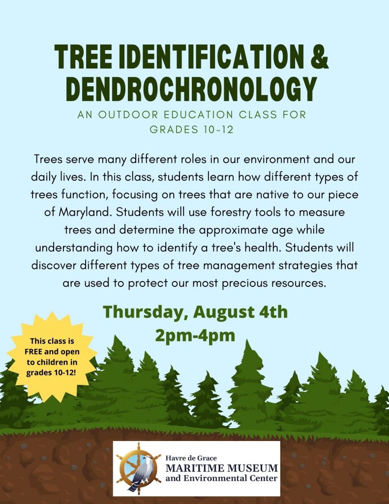 Tree Identification and Dendrochronology FREE Class for Grades 1012